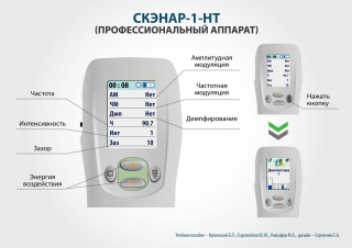СКЭНАР-1-НТ (исполнение 01)  в Рузе купить Медицинская техника - denasosteo.ru 